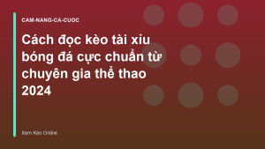 Read more about the article Cách đọc kèo tài xỉu bóng đá cực chuẩn từ chuyên gia thể thao 2026