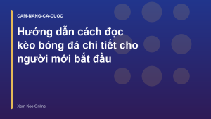 Read more about the article Hướng dẫn cách đọc kèo bóng đá chi tiết cho người mới bắt đầu